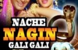 Nache Nagin Gali Gali